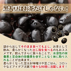 isa358 《毎月数量限定》薩摩の米どころ伊佐市の田んぼで育てた黒豆茶(100g×5袋) ふるさと納税 伊佐市 特産品 お茶 くろまめ 贈答 プレゼント ギフト【神薗商店】