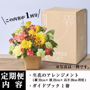 ＜定期便・3回(連続)＞季節のお楽しみフラワーアレンジメント(縦22cm×横22cm×高さ28cm)生花 花 花束 フラワー ギフト 贈り物【FM-4】【フラワーショップまつだ】