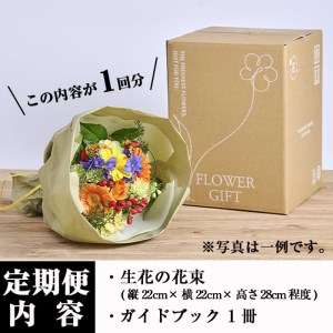 ＜定期便・6回(連続)＞季節のお楽しみブーケ(生花：Sサイズ)生花 植物 【FM-5】【フラワーショップまつだ】