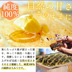 a3-179 日本みつばちの純粋蜂蜜＜志布志の秘蜜＞(280g×1本)