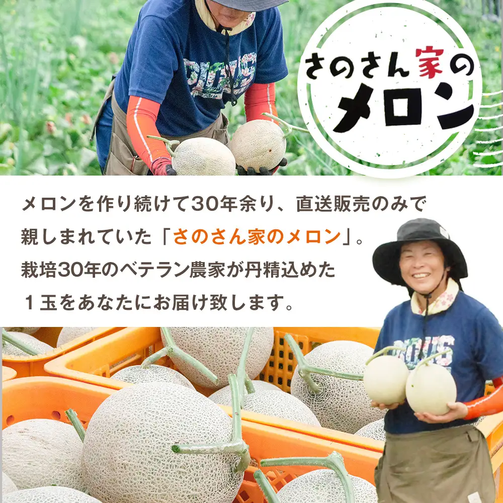 【R8年収穫分】【数量限定】さのさん家のメロン（L玉以上）１玉 湧き水栽培 さの農場 | 北海道津別町
