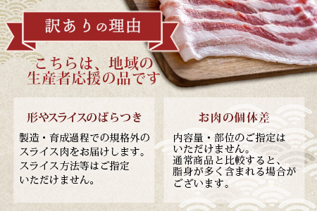 宮崎県産【訳あり】THE HOUBOQ 魅力の満足セット 豚肉 スライス肉指定バージョン 合計2.5kg[宮崎 椎葉村 豚肉 豚 肉 ぶた にく ぶたにく おにく お肉 訳あり スライス スライス肉 美味い 日本三大秘境 美味しい 逸品]【HB-71】