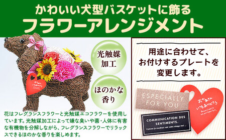 フレグランスフラワー＆光触媒エコフラワー 番犬くん Sサイズ