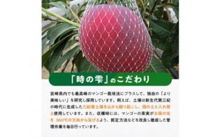 マンゴー 【令和8年発送】宮崎県産完熟マンゴー「時の雫」4L×2玉 フルーツ マンゴー