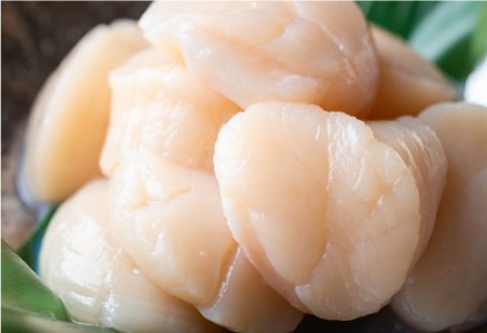 北海道産・お刺身用ホタテ玉冷凍【L】500g ふるさと納税 ほたて 帆立 F4F-7826