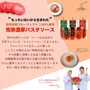 【タイガーマスクチャリティギフト】トマトソース おうちごはんセット フルーツトマト ソース 乾燥野菜 ドライベジタブル 支援 基金