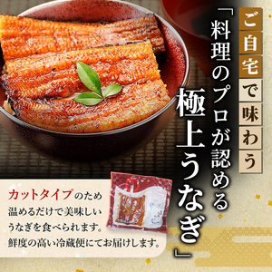 【ITI優秀味覚賞受賞】「うなぎの井口」蒲焼2カットセット  ウナギ 鰻 【配送不可：離島】