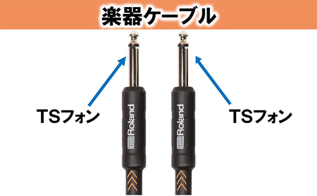 【Roland純正】楽器ケーブル 3m/RIC-B10【配送不可：離島】 雑貨 日用品 