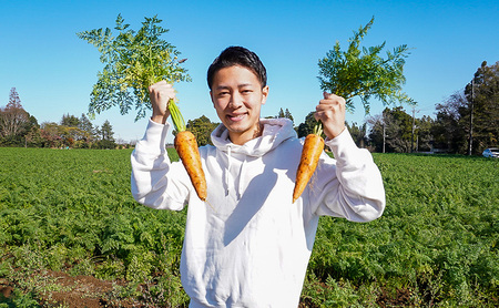 野菜ジュース 冷凍にんじんジュース 完全無添加　【 野菜 ジュース ドリンク 健康食 にんじん 根菜 人参 無添加 】 