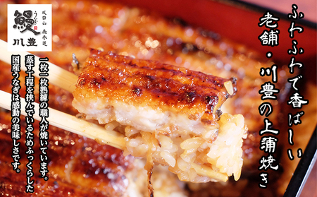 うなぎ 定期便 3ヵ月 川豊 上蒲焼 3人前 セット 蒲焼 うなぎの蒲焼 国産うなぎ 国産 真空パック 定期 3回