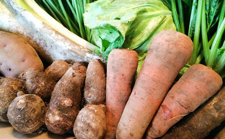 おかげさま農場の野菜のおまかせセット（無化学農薬・肥料栽培） 詰合せ 季節の野菜 詰め合わせ 