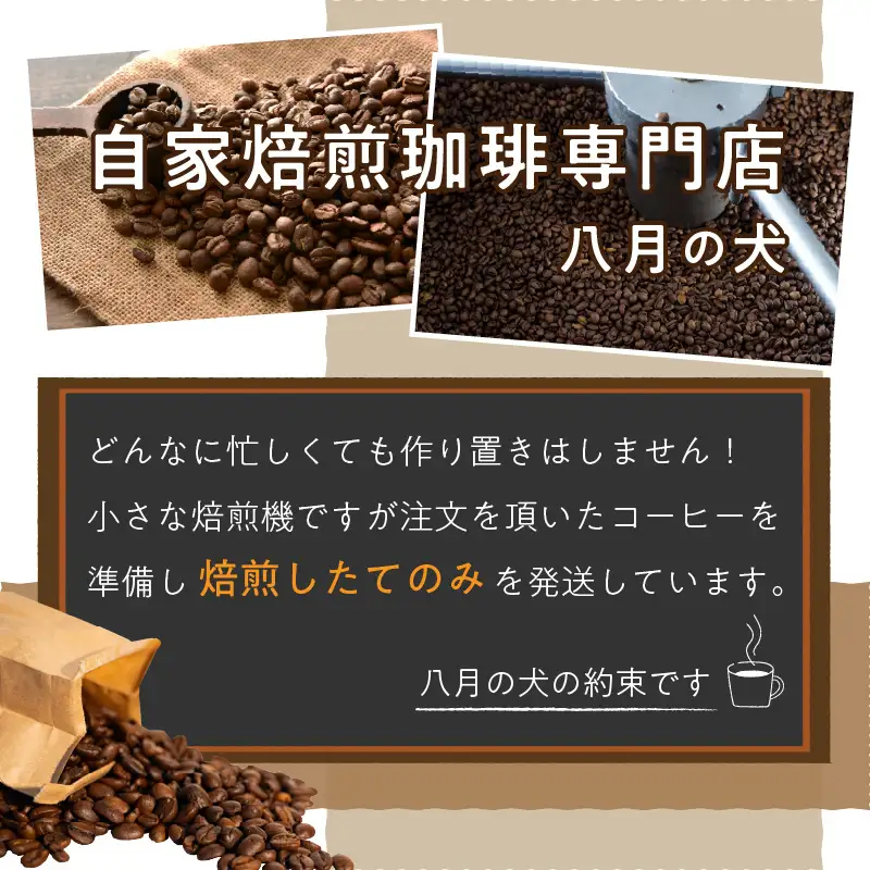 【八月の犬 コーヒー豆】 100gx3種飲み比べ | コーヒー豆