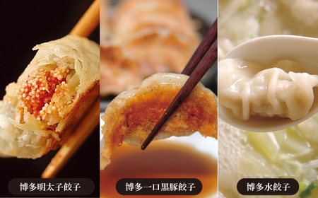 山八餃子博多セット（博多明太子餃子・博多一口黒豚餃子・博多水餃子）[H4385]