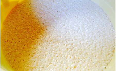 スッキリ飲みやすいと評判！話題の健康酒「どぶろく」／Lsk-B01 どぶろく どぶろく どぶろく どぶろく どぶろく どぶろく