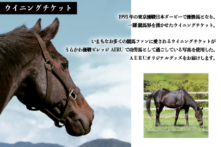 優駿ビレッジAERU G1馬｢ウイニングチケット｣オリジナルグッズ(計6個)[07-1083]