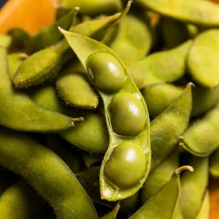 先行予約【新潟県産】くろさき茶豆　【１.５ｋｇ】　2026年8月～順次発送　新潟　新潟県　枝豆　えだまめ　茶豆　おつまみ　お取り寄せ　グルメ　1.5kg　豆