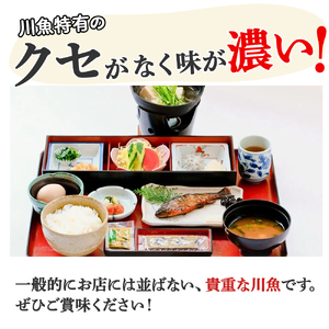 【予約受付】四万十の幸「あめご」 使いやすい小ぶりサイズ 700g (16cm前後×12～14匹) Eay-02 あめご あまご アメゴ アマゴ 小魚 魚 魚介 川魚 塩焼き 南蛮漬け 冷凍 魚貝類 