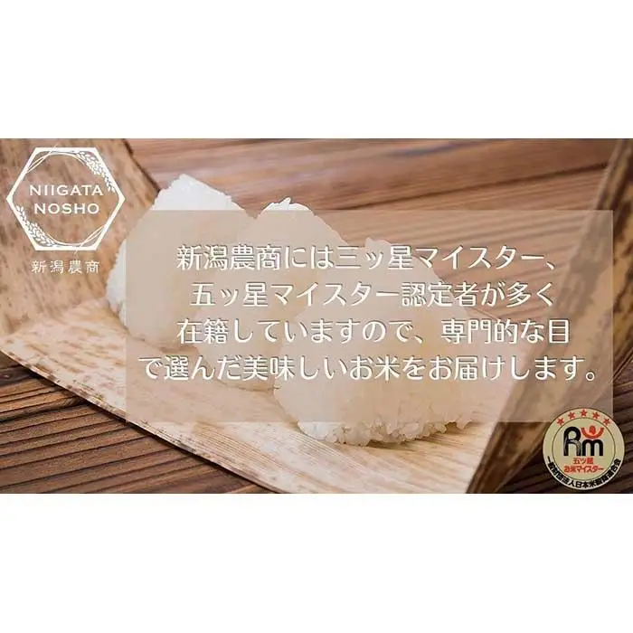 新潟県産虹の煌めき　5kg×2