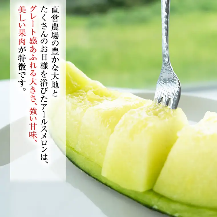 【2026年8月下旬発送開始】 季節 限定 ！ 甘さ満点 アールスメロン 3玉 入箱 果物 フルーツ 農家直送 産直 青肉メロン 特産品 マスクメロン メロン くだもの 茨城 [BC044sa]