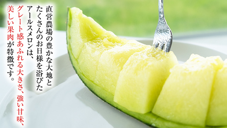 【2026年8月下旬発送開始】 季節 限定 ！甘さ満点 アールスメロン 2玉 入箱 [BC045sa]