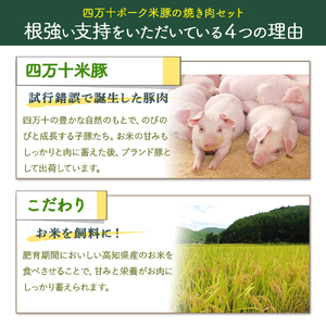 米で育ったブランド豚「しまんと米豚焼き肉セット」800g（400g×2） Qjs-02 国産 ぶた肉 豚肉
