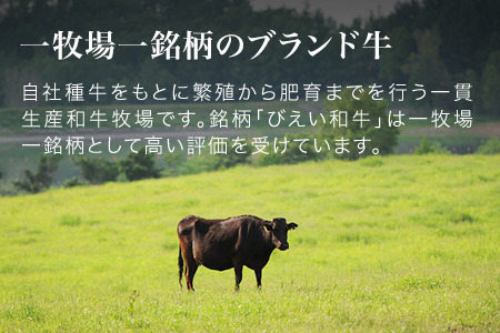 和牛 びえい 和牛 『肉チョコ』バラエティパック ファームズ千代田| 和牛  [025-16]