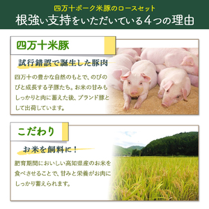 【大人気返礼品】しまんと米豚の厚切りロースセット（150g×6枚） 米豚 豚肉 厚切りロース 冷凍 ／Qjs-04