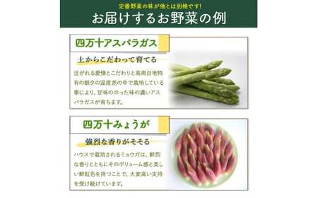 特製ポン酢付き！安心安全の地ドレ野菜（旬が香る7種セット） 野菜便 野菜 国産野菜 詰め合わせ 水耕セリ アスパラ ミョウガ ニラ 冷蔵 ／Qjs-05