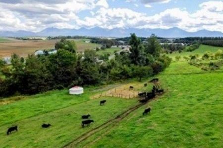 びえい牛ビーフカレー　３食セット | ビーフカレー 北海道 ビーフカレー 美瑛町 ビーフカレー 国産 ビーフカレー [012-102]