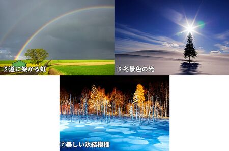 写真家　阿部俊一　額付き写真[036-20]