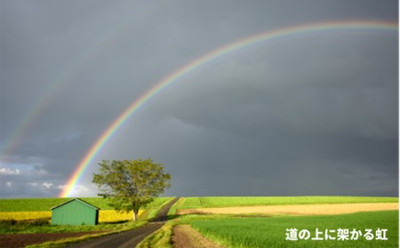 写真家　阿部俊一　額付き写真[120-06]