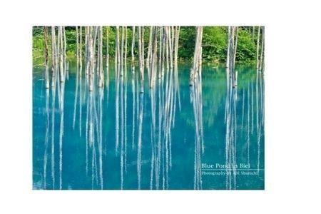写真家　阿部俊一　クリアファイル５枚[007-16]