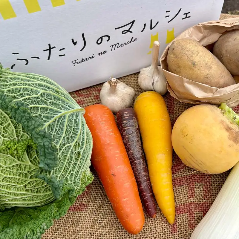 季節の彩り野菜セットMサイズ(9～11品) 野菜 詰め合わせ 新鮮 産地直送 北海道 江別市 EB8-0154