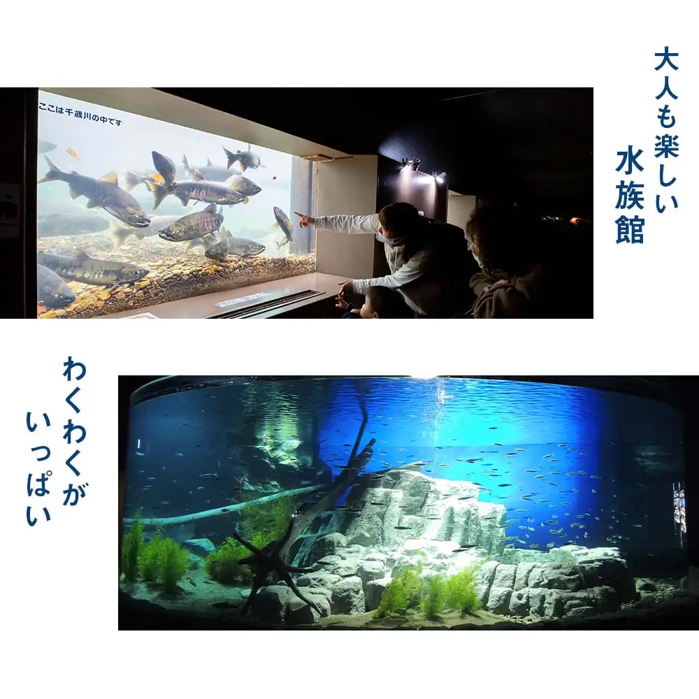 【サケのふるさと 千歳水族館】年間パスポート（大人1枚/Cデザイン）