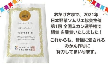 2026年秋よりお届け 田口早生みかん　約10kg 香川県産 フルーツ 果物類 柑橘類 