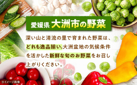 【先行予約】【4月中旬より順次発送】たけのこの水煮×3袋 たけのこ [AGBN011]