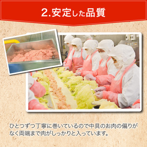 国産豚で作ったロールキャベツ(10袋セット)[022J04]かんたん惣菜 こだわり惣菜 和食惣菜 国産惣菜 お弁当惣菜