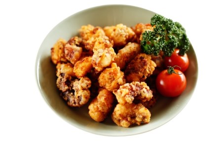 下関 海鮮 3種 唐揚げ セット 600g AU204-NT