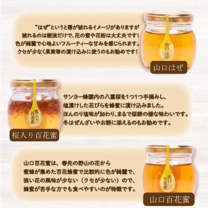 はちみつ 国産 蜂蜜漬け セット 570g( 95g×6種 ) 山口県産 下関 ES002-NT