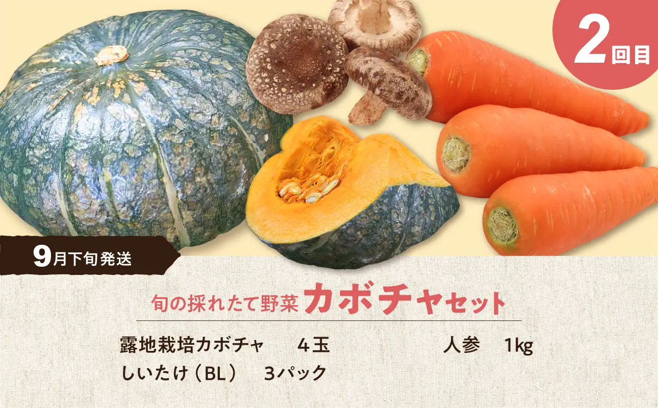 【2回定期便】旬の採れたて野菜「贅沢セットB」