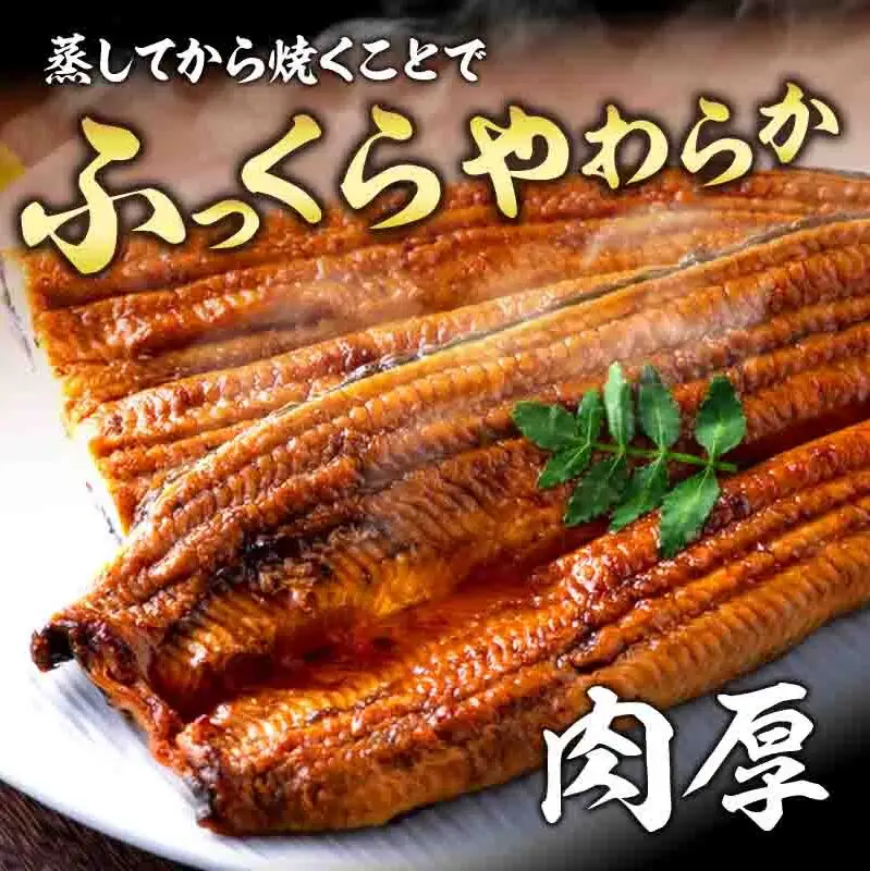 国産 うなぎ モンドセレクション金賞 特上 長蒲焼き 4尾 600g以上 浜名湖産 鰻 蒲焼 冷凍