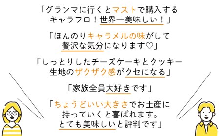 【3回定期便】3ヶ月 チーズケーキ キャラフロ 計12本 6本入り×2箱セット ﾁｰｽﾞｹｰｷ