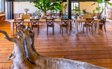 【ホルトノキ】沖縄の森の癒しリゾート宿泊補助券（１万５千円分：５千円券３枚）