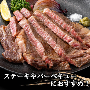 鹿児島県産 黒毛和牛 厚切り リブロース ステーキ (2枚 計800g)【ナンチク】B62-v01