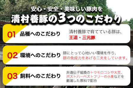 まうごつうまかとんかつセット 1kg 清村養豚《60日以内に出荷予定(土日祝除く)》 ロース ヒレ 肩ロース とんかつ かつ丼 みそかつ 熊本県 御船町