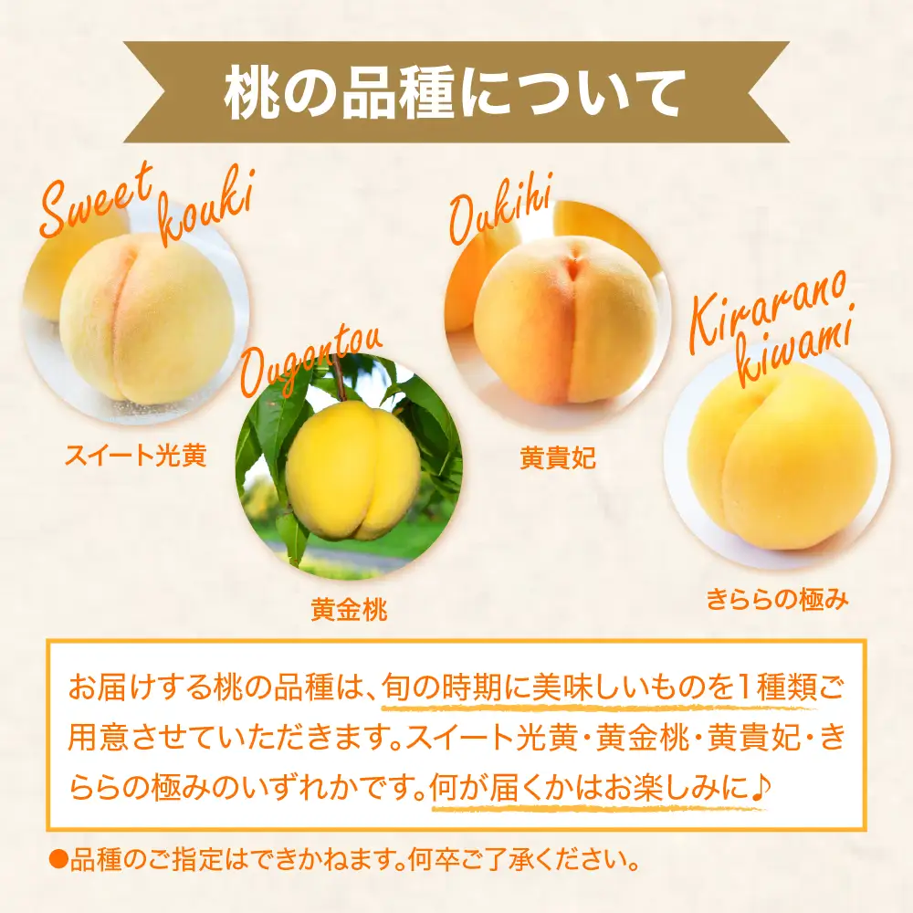 【2026年産先行予約】黄桃(品種おまかせ)2kg 秀品 桃 黄桃