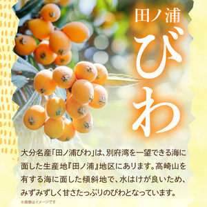 【期間限定】田ノ浦びわ 約2.16kg（270g×8パック） C07013
