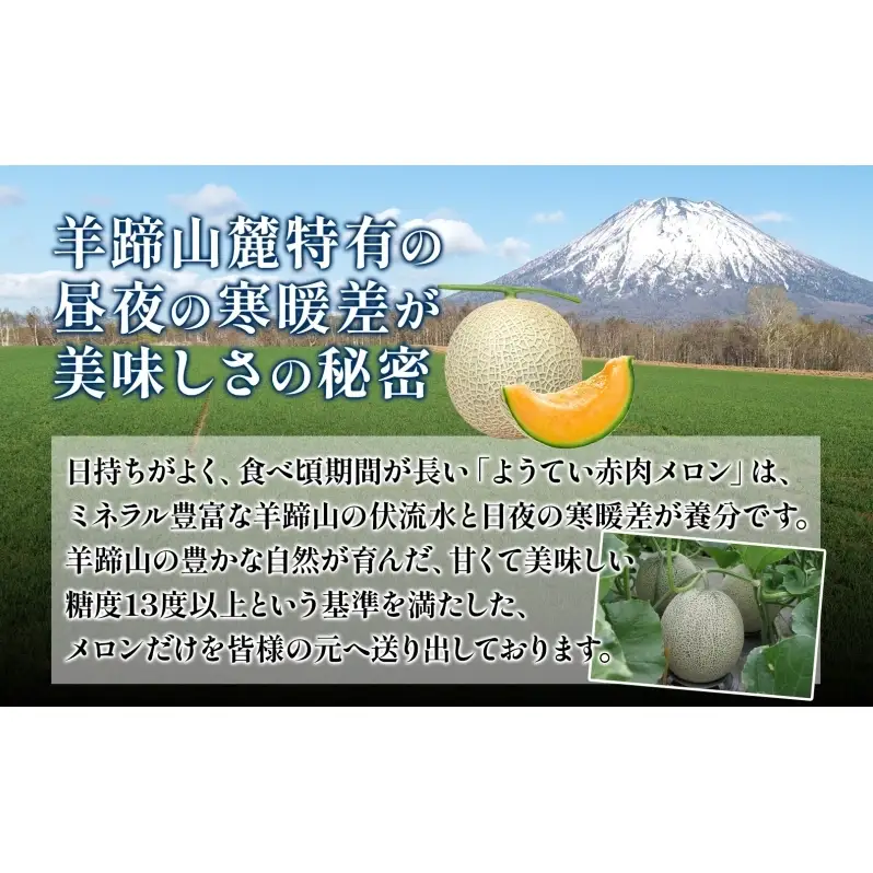北海道 赤肉メロン 約1.6kg 2玉 メロン 赤肉 果物 フルーツ 甘い 完熟 スイーツ デザート 産直 国産 贈答品 お祝い ギフト羊蹄山 JAようてい