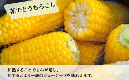 北海道 スイートコーン 味来 約10kg 2Lサイズ 計26本 とうもろこし とうきび コーン 新鮮 採れたて 産直 JAようてい