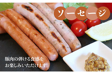 【 全12回 定期便 】  糸島 の 陽光 ハム / ウインナー セット 5《糸島》 【志摩スモークハウス】 [AOA022]
